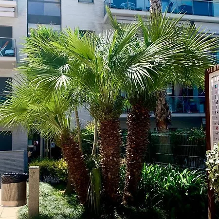 Jardin Turquesa Apartment