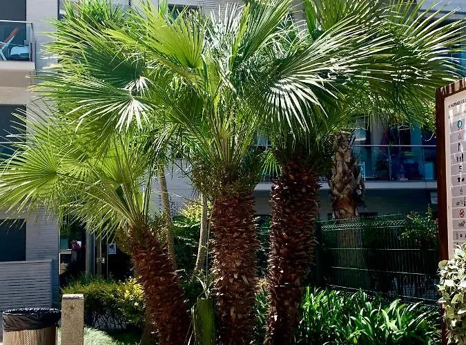 Jardin Turquesa Апартаменти