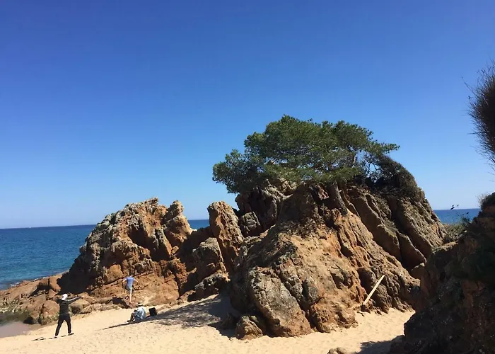 Апартаменти Jardin Turquesa *